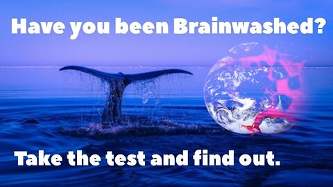 Have you been Brainwashed?