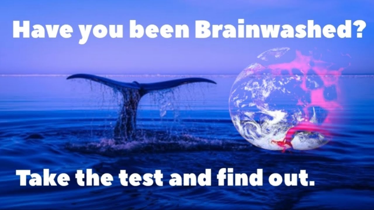 Have you been Brainwashed?