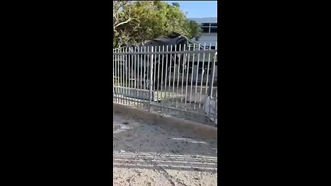 Sirens, Smoke, Screams: Tel Aviv After the Blast