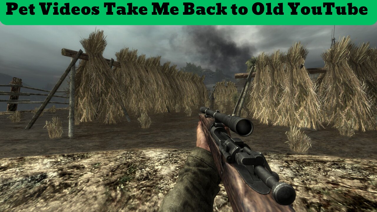 Pet Video's Take Me Back to Old YouTube