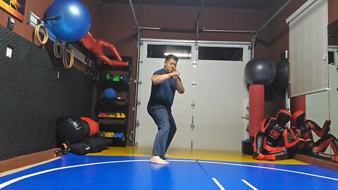 WTD 2 Step Kick Combination 163