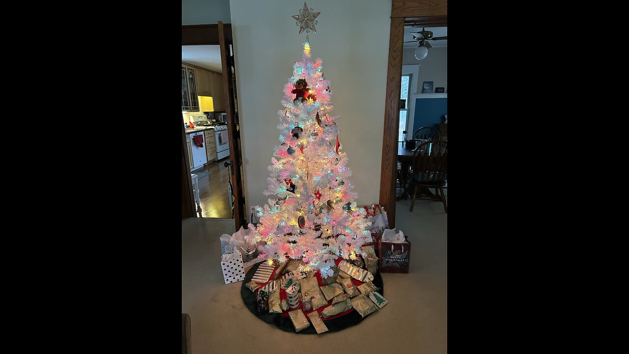 Snow, wind, and cold