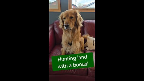 Hunting Land with a bonus!
