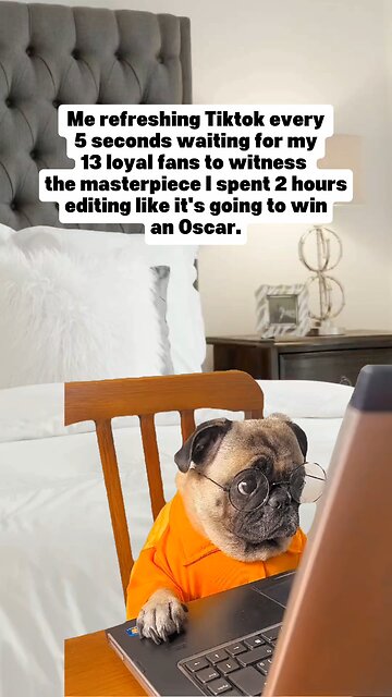 Oscar Edit-Three views