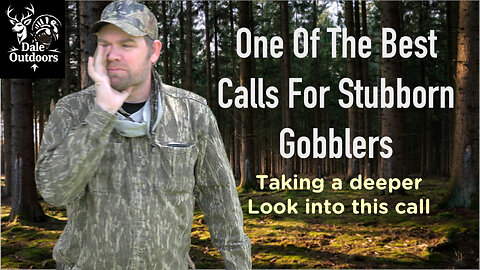 One of The Best Calls For Stubborn Gobblers