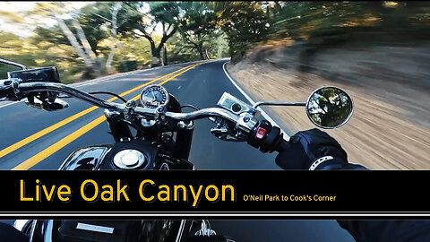 Live Oak Canyon