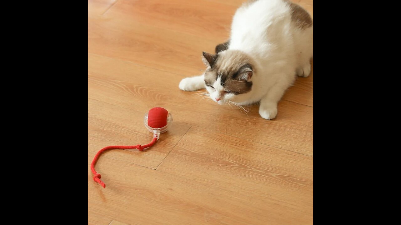 Durable Chew-Resistant Automatic Cat Teaser and Dog Toy Ball