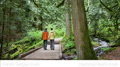 "Understanding Vascular Dementia: Prevention Strategies"