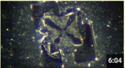 "Greg Reese Discovers Nanotechnology in Both Vaccinated and Unvaccinated Individuals"