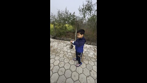 Kitty found near my home