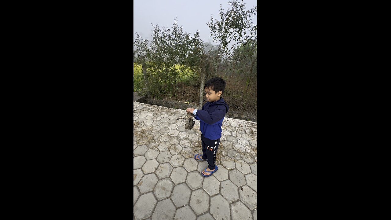 Kitty found near my home