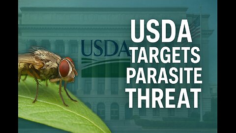 USDA Launches Plan to Stop Screwworm Spread in U.S. Livestock