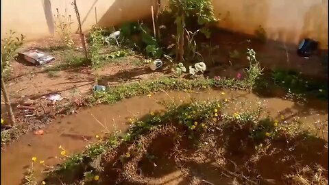 TOP 10 MINI DAMS | Debate Politics Trending News Viral Rumble Funny Dog Cat Entertainment Trump