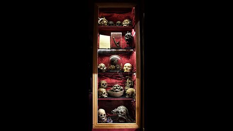 the human trophy case: games of the apocalypse