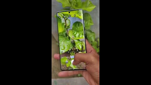 best mobile