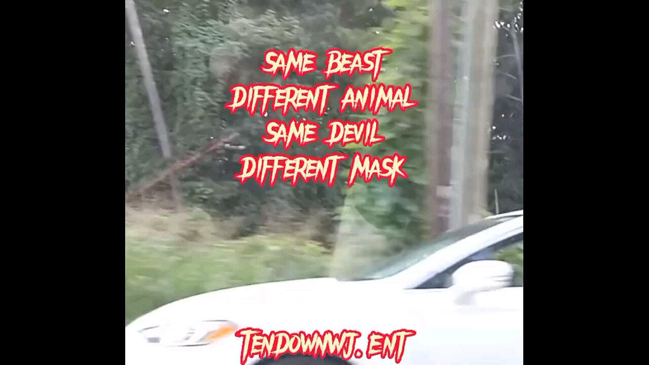 TenDown WJ Ent