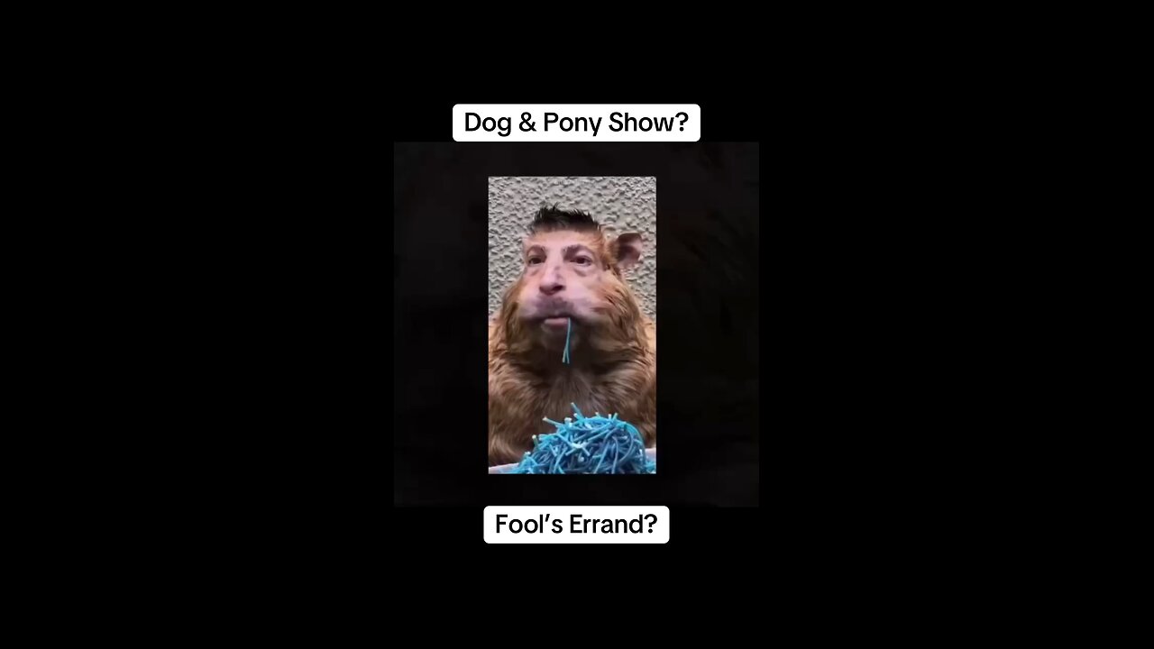This Is Entertainment