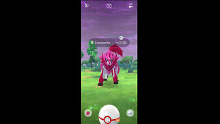 Catching a Shiny Zamazenta During the 2025 GO Fest Max Finale Dark Skies Event | Pokemon GO