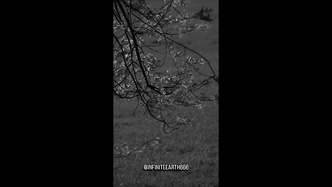 next time someone tries to convince you