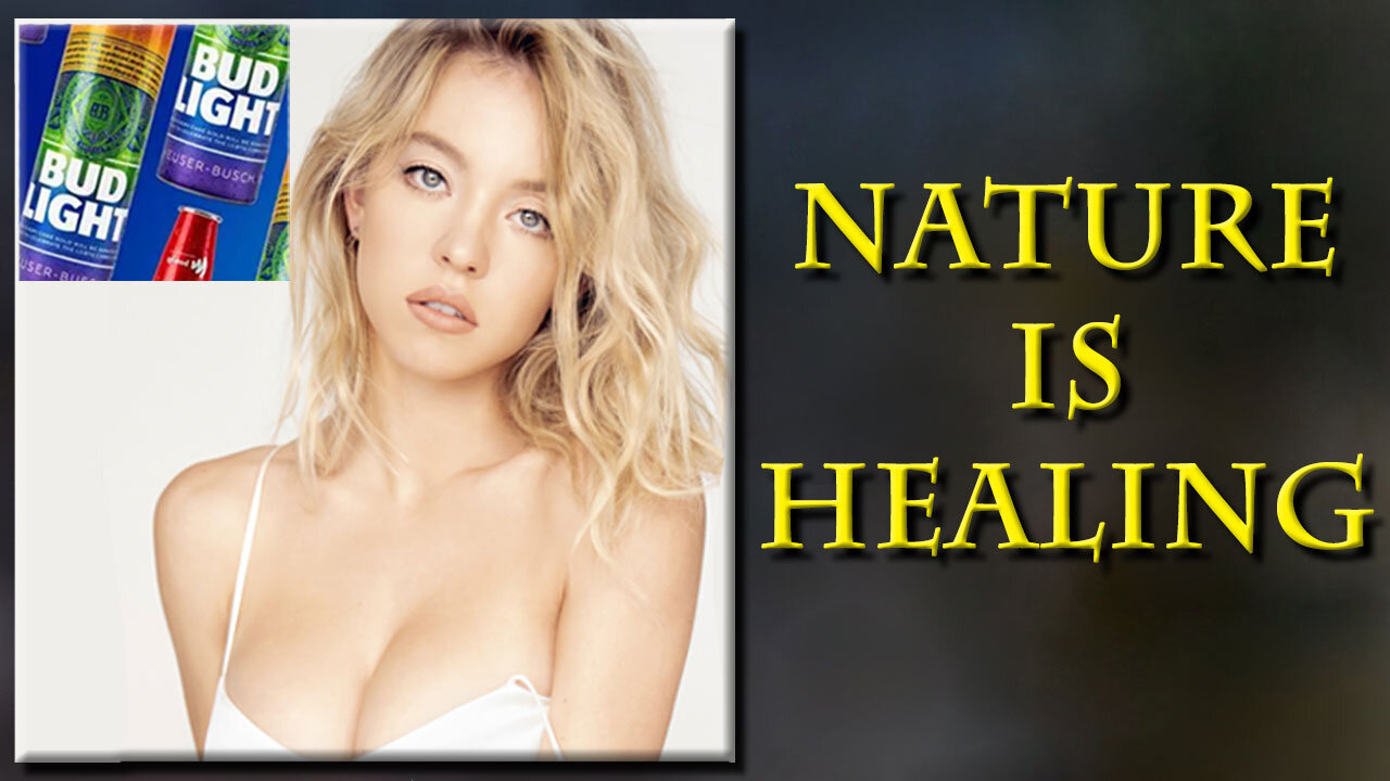 Bud light contacts Big Bobs Sydney Sweeney to save the failed brand