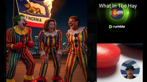 GAVIN NEWSOM'S COMMIE-FORNICATION