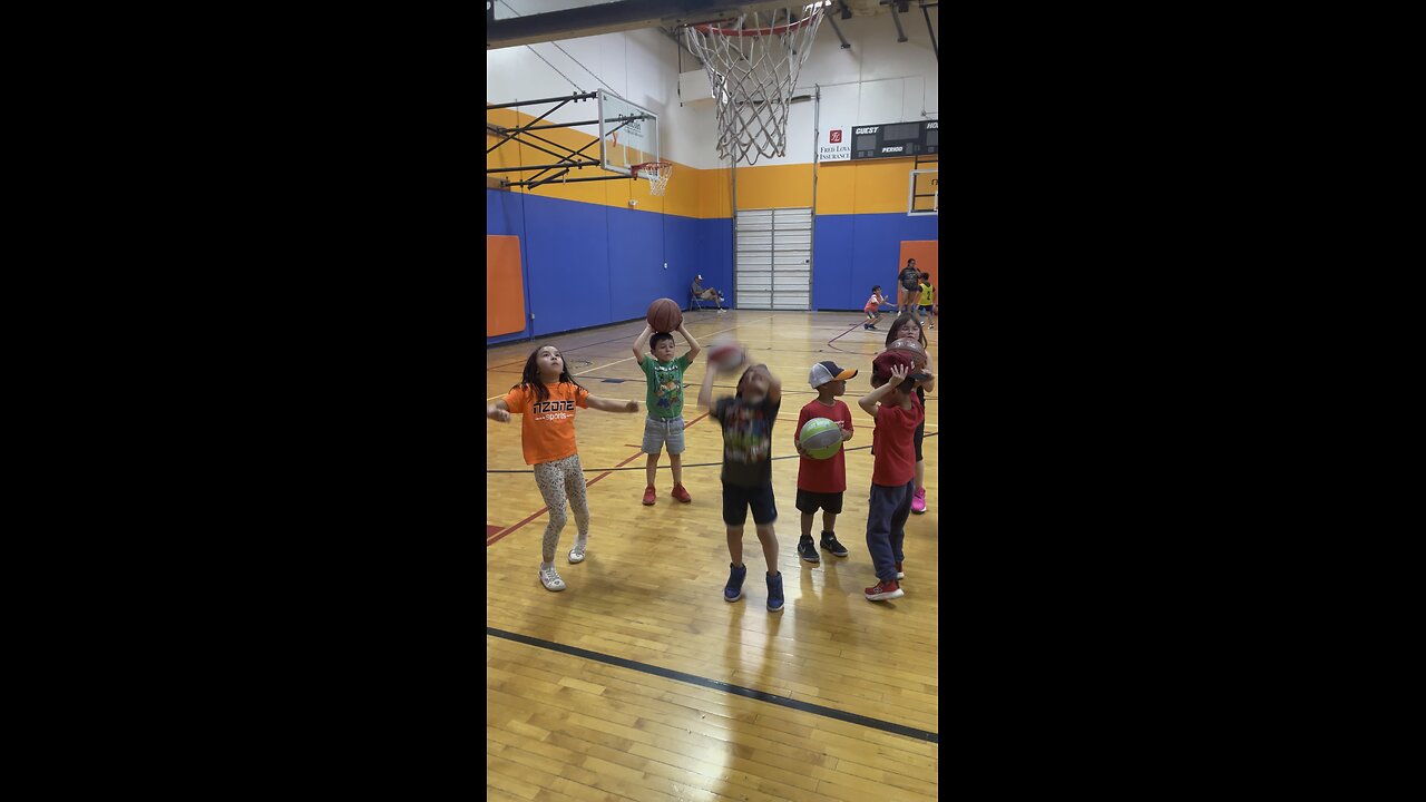Basketball time for the Grizzlies