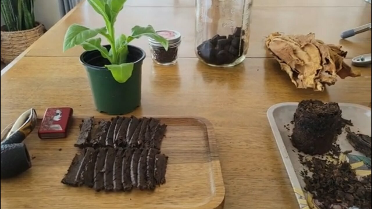 How to Prepare Your Homegrown Organic Tobacco & History [Not Cigar Fermentation]