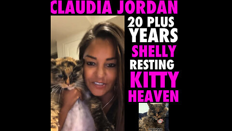 CJ #115 Shelly is now in kitty heaven. 20 years together..