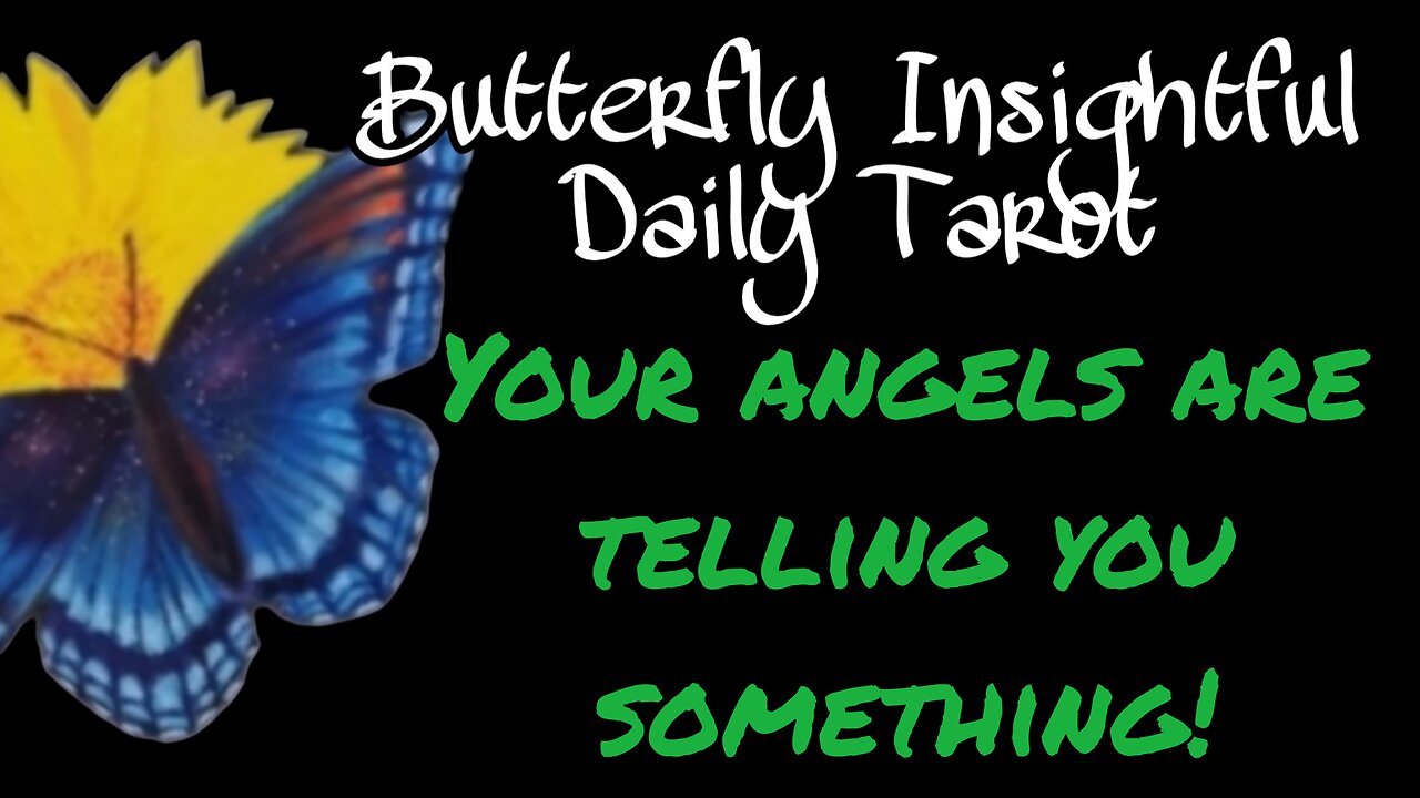 Butterfly Insightful Daily Tarot - It's a waiting game!