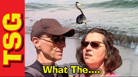 We found the strangest thing in Alabama!