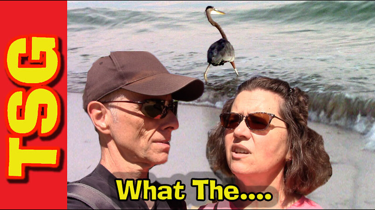 We found the strangest thing in Alabama!