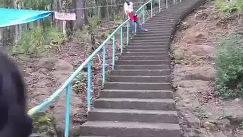 long stairway stretches up through a lush, green forest.