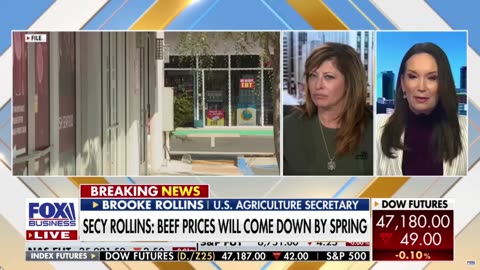 Oh No! People Are Upset EBT Members Need To REAPPLY For SNAP!