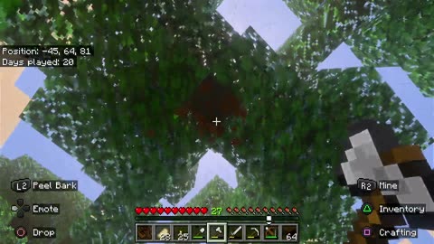 Minecraft Pt. 1