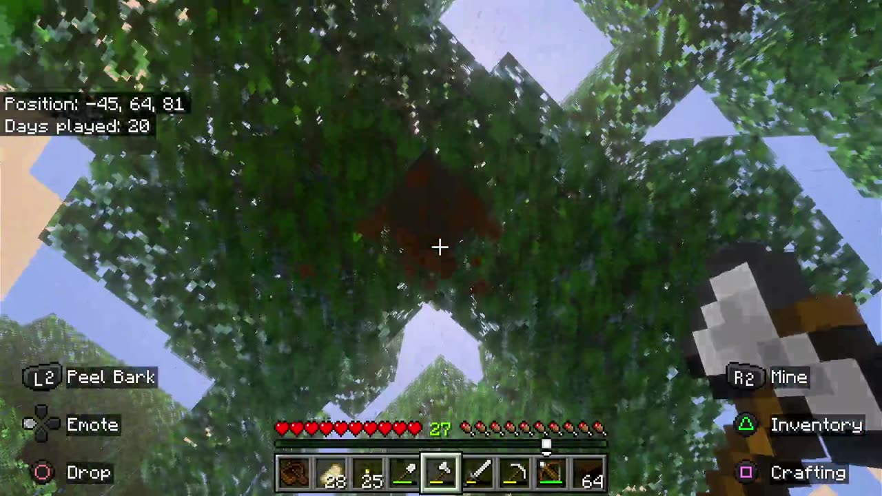 Minecraft Pt. 1