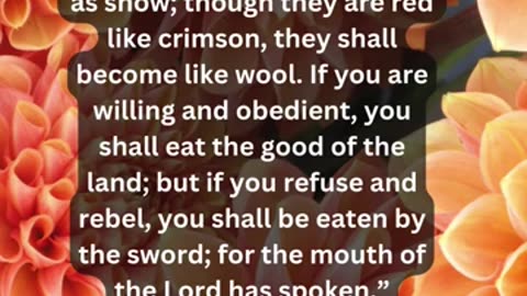 Journey of faith and spiritual growth Isaiah 1:18-20 Daily Bible Verse