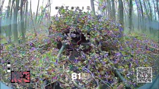 Classically Annihilating Russian Armor and Infantry(Shredding Russians to Beautiful Music)