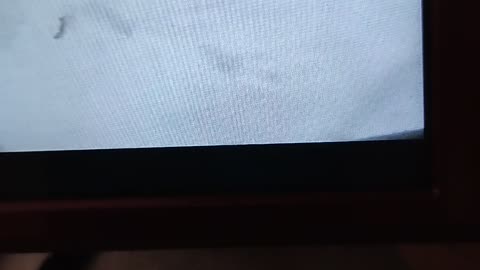 Shia, video recorded 11:02 AM Jan 18, '26 by Alyssa