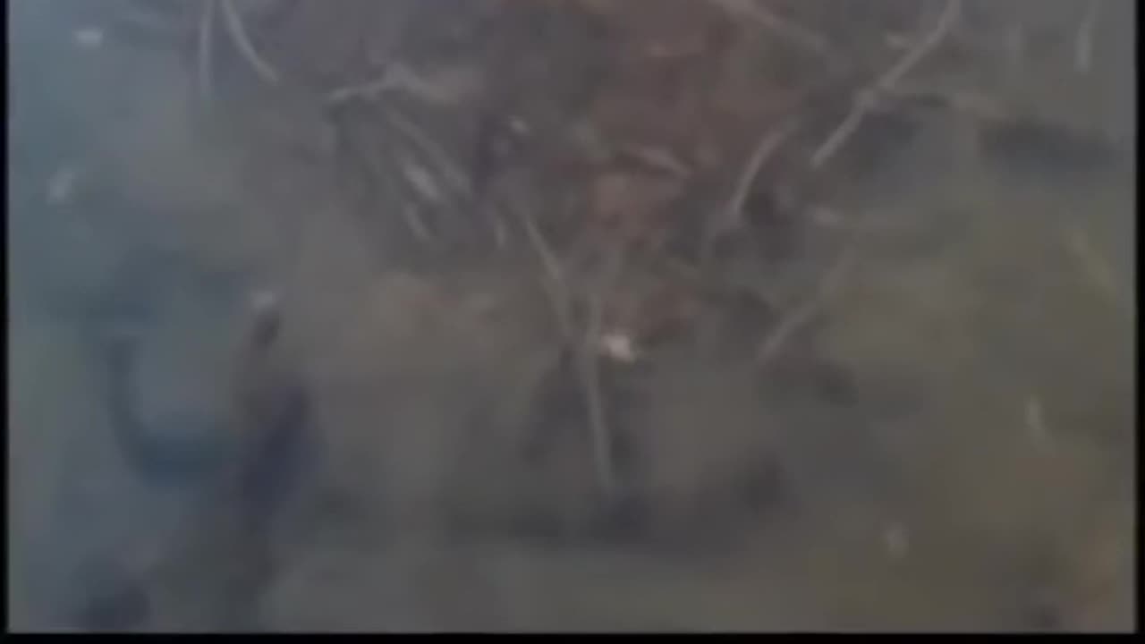 Nephilim Hole