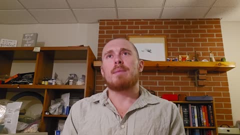 Lion Diet Sleep Optimization： Day 11