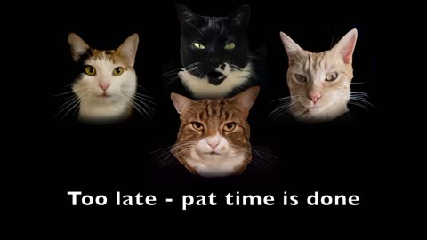 Bohemian Catsody - A Rhapsody Parody Song for Every Cat Queen and King!