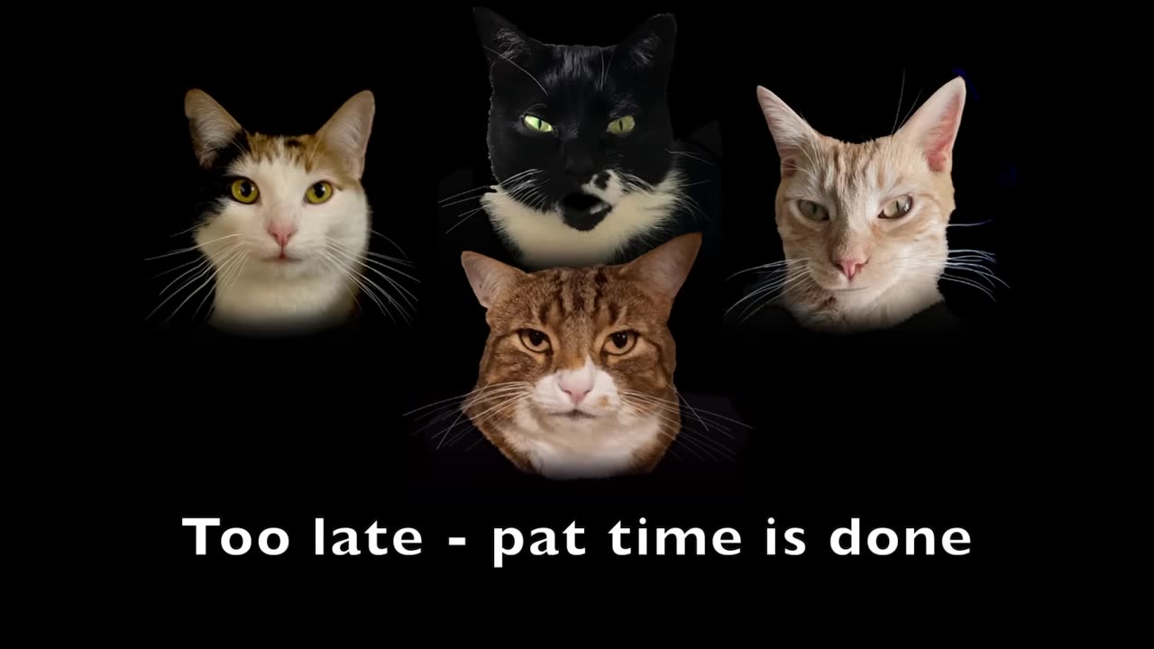 Bohemian Catsody - A Rhapsody Parody Song for Every Cat Queen and King!