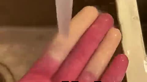 Frozen Fingers: The Ice Grab Gone Wrong