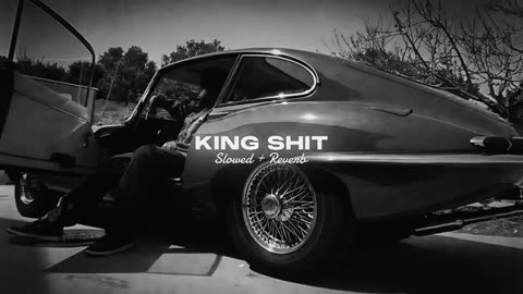 KING SHIT (^_^)