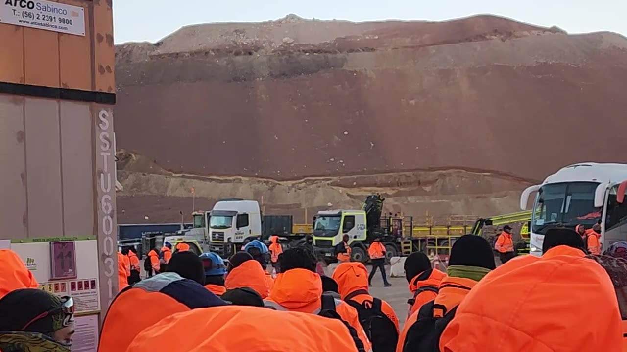 Tired Miners Start Bleating Like Sheep