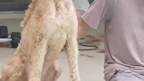 Best Friends
