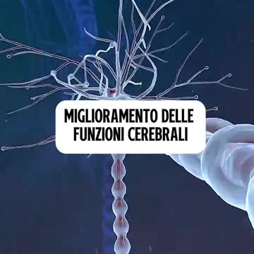 DIGIUNO INTERMITTENTE