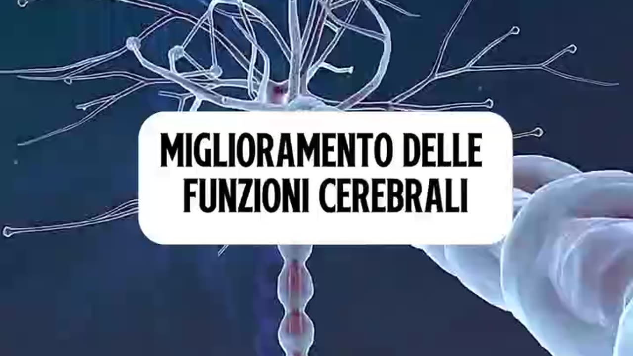 DIGIUNO INTERMITTENTE