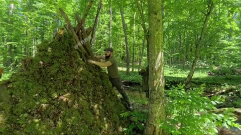 Making shelter in Firest to survive all alone in Wilderness