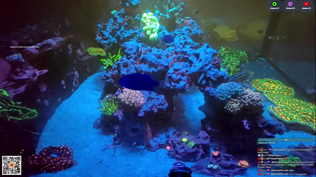 24/7 Real Live Reef Stream